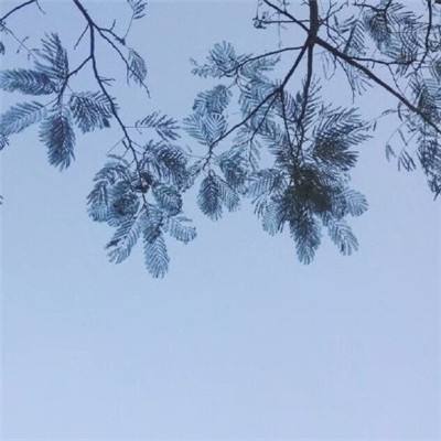 沙城三国无限元宝版下载
